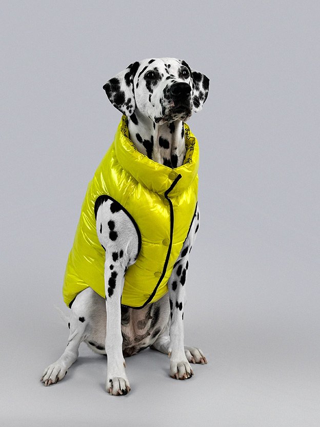 Photo: Puptch Rain Coat Jacket