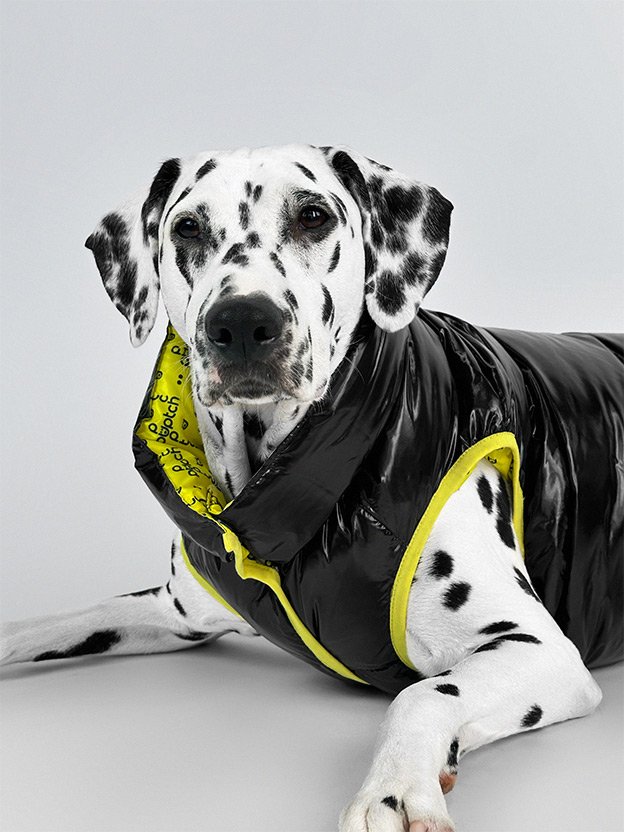 Photo: Puptch Rain Coat Jacket