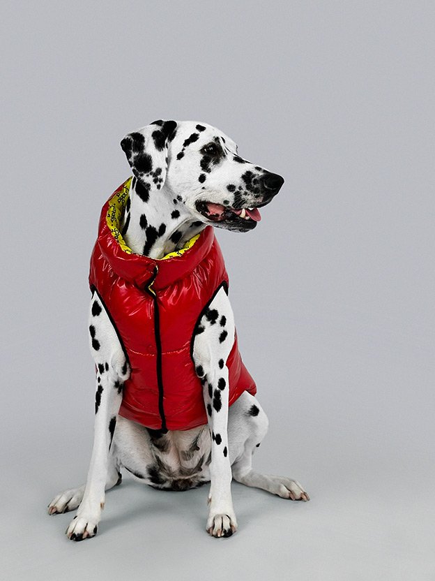 Photo: Puptch Rain Coat Jacket