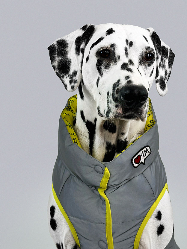 Photo: Puptch Puffer Jacket